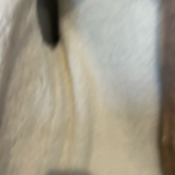 Amazon Essentials Women's Beige Quilted Puffer Vest - Picture 7 of 7